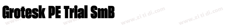 Grotesk PE Trial SmB字体转换